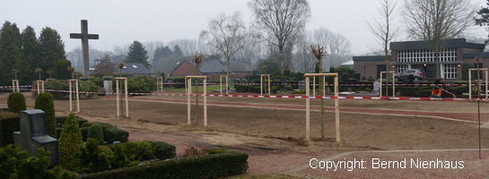 Niederkr-Friedhof-Bäume